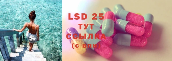 сатива Новокубанск