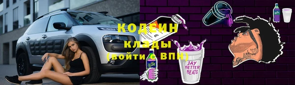 мдпв Ладушкин
