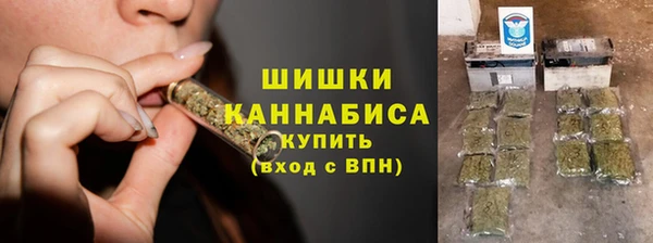мдпв Ладушкин