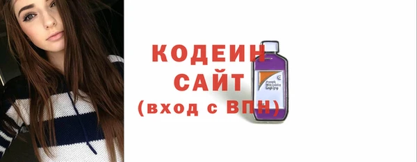 мдпв Ладушкин
