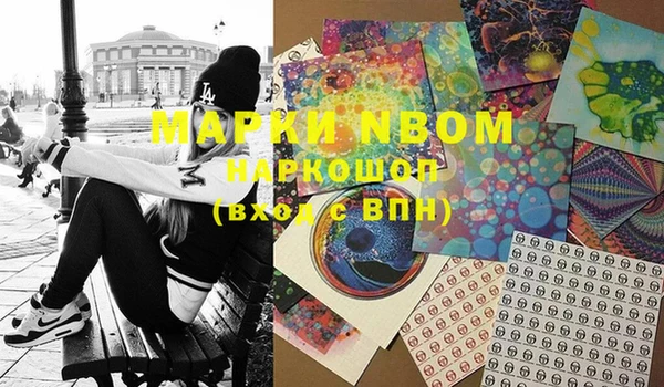 мдпв Ладушкин