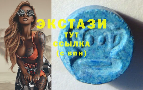крисы Новодвинск