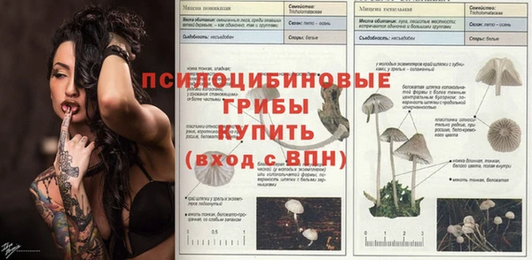 прущий лед Лагань