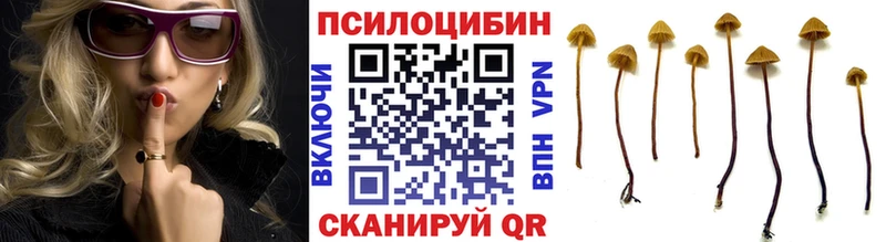 Галлюциногенные грибы ЛСД Чудово